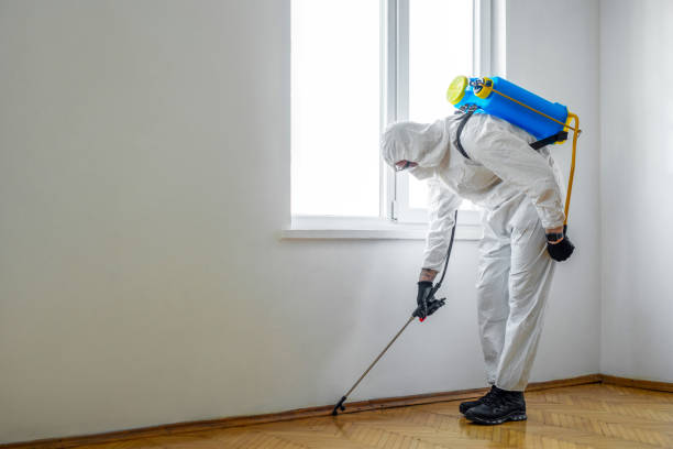 Best Affordable Pest Control Services  in Seabrook, TX