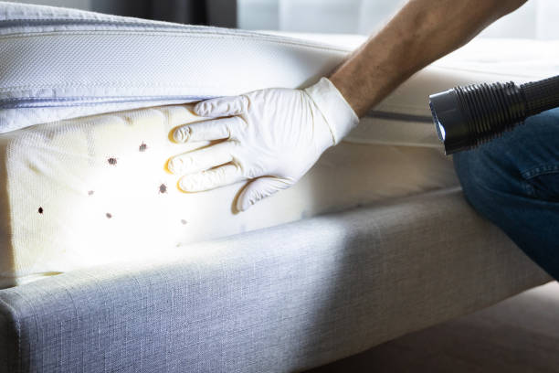 Best Wildlife Control Services  in Seabrook, TX