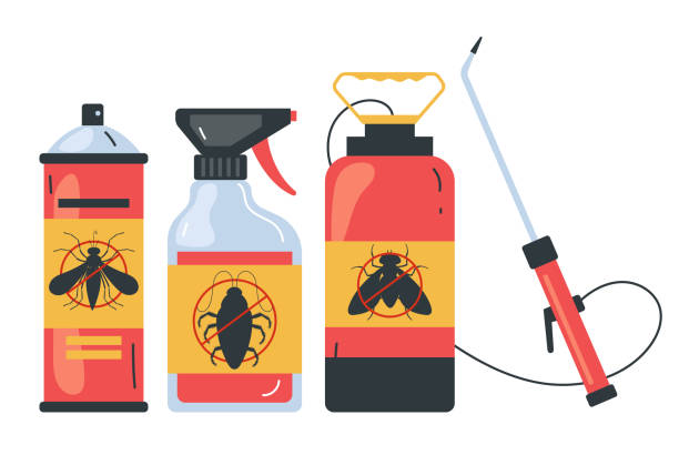 Pest Prevention Services in Seabrook, TX
