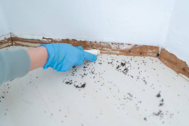 Wildlife Control Services in Seabrook, TX
